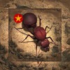 秘密无痕播放器